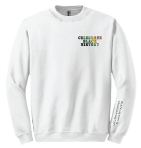 PAN AFRICAN COLOURS CELEBRATE BLACK HISTORY YOUTH CREWNECK